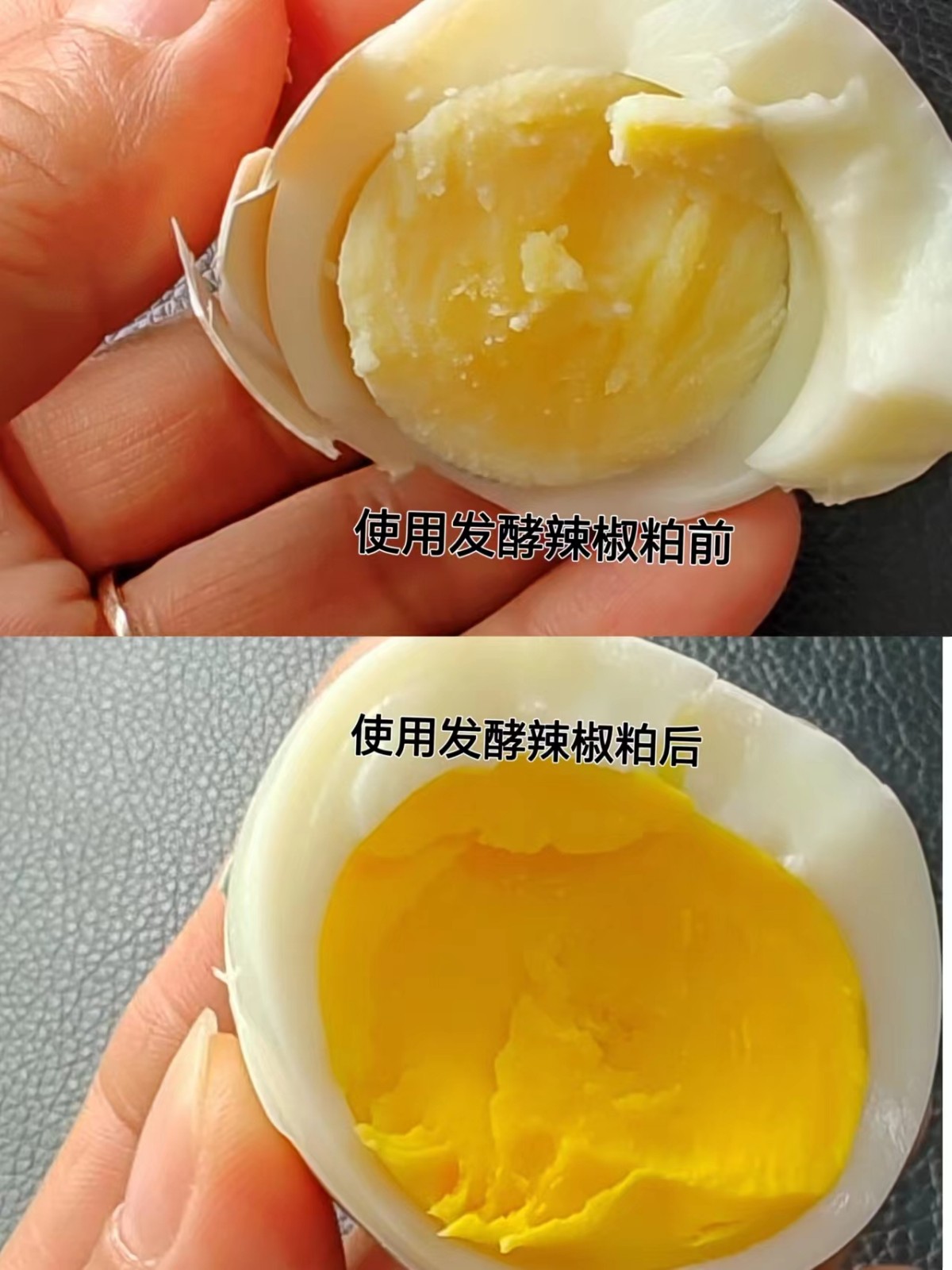 夏季养鸡科学净槽防止饲料对鸡发霉变质添加fajiao辣椒粕预防