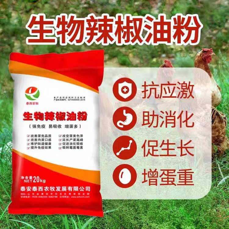 蛋鸡高温天气预防热应激添加生物辣椒油粉