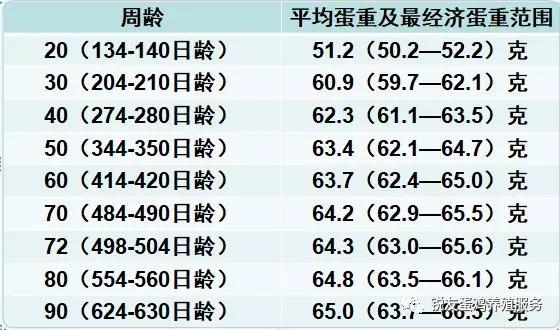 关于蛋重，你应该知道的：不是越重越好！