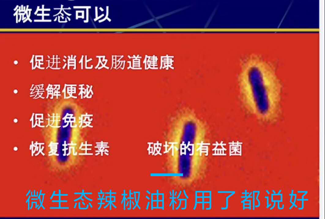 微生态辣椒油粉让你养鸡省心回报率高